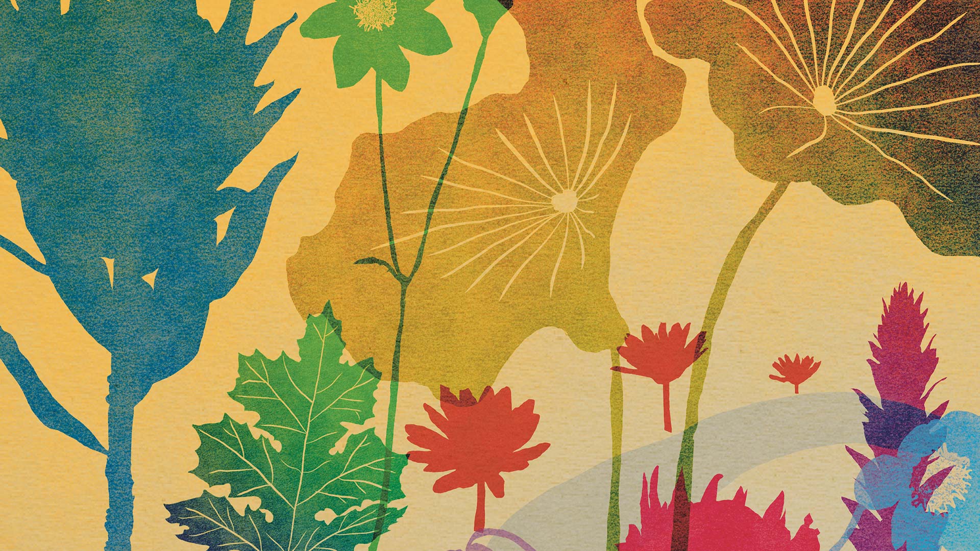 Project 1: Lei Vegan Poke